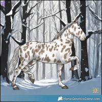 Horse Color:Silver Grullo Near Leopard 