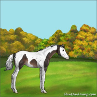 Horse Color:Brown Splash Tobiano 