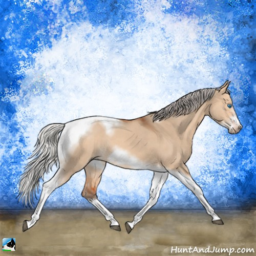 Horse Color:Silver Bay Dun Sabino Tobiano Frame Rabicano