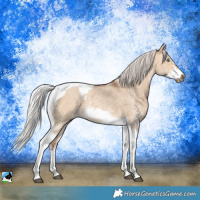 Horse Color:Silver Bay Dun Sabino Tobiano Frame Rabicano 