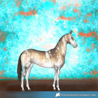 Horse Color:Buckskin Onyx Sabino Rabicano