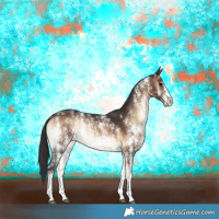 Horse Color:Brown Onyx Sabino Rabicano