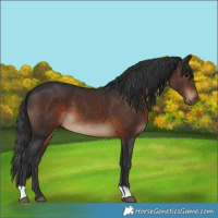 Horse Color:Brown 