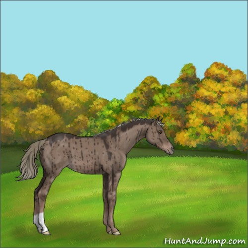 Horse Color:Liver Red Dun Mushroom Brindle 