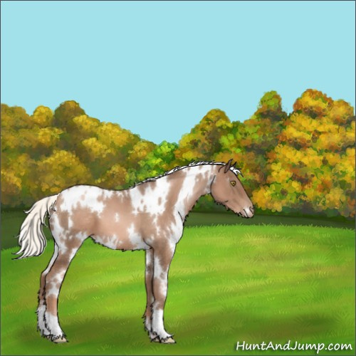 Horse Color:White Spotted Liver Chestnut Pearl Mushroom 