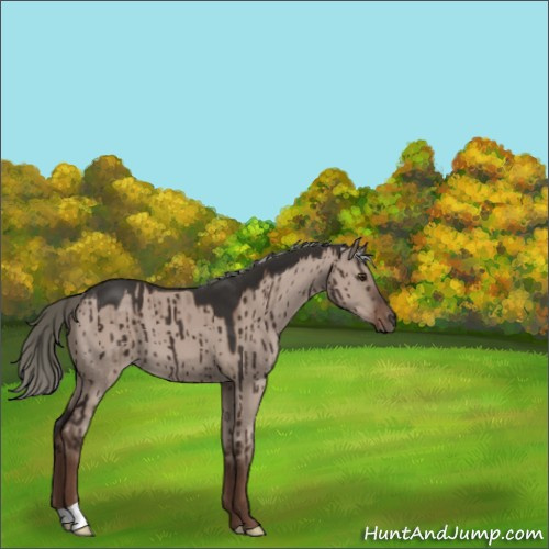 Horse Color:Liver Red Dun Mushroom Brindle 
