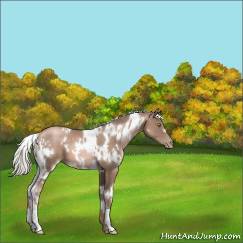 Horse Color:White Spotted Liver Chestnut Pearl Mushroom 