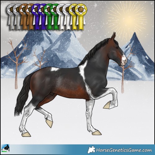 Horse Color:White Spotted Brown Tobiano Rabicano 