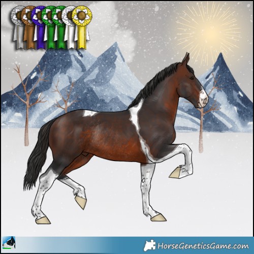 Horse Color:White Spotted Brown Tobiano Rabicano 