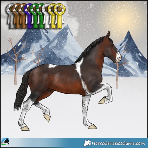 Horse Color:White Spotted Brown Tobiano Rabicano 