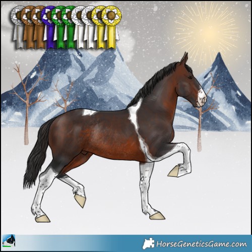 Horse Color:White Spotted Brown Tobiano Rabicano 
