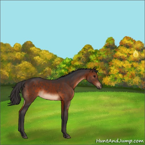 Horse Color:Brown 