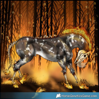 Horse Color:White Spotted Brown Dun Sabino