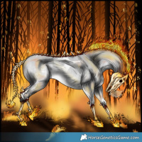 Horse Color:Bay Chinchilla Dun Sabino Tobiano Rabicano 