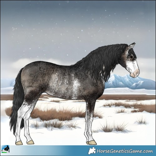 Horse Color:Blue Onyx Ice Sabino Rabicano