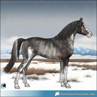 Horse Color:Blue Onyx Ice Sabino Rabicano