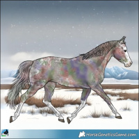 Horse Color:Nacre Silver Black Ice Sabino Splash 