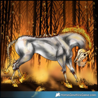 Horse Color:Platinum White Spotted Sable Champagne Roan Onyx Blanket 