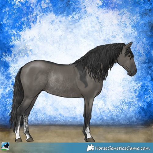 Horse Color:Grullo Sabino Rabicano 