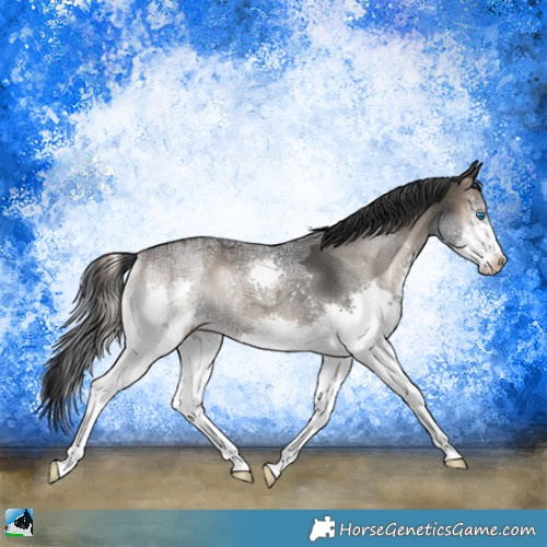 Horse Color:Blue Onyx Ice Splash 