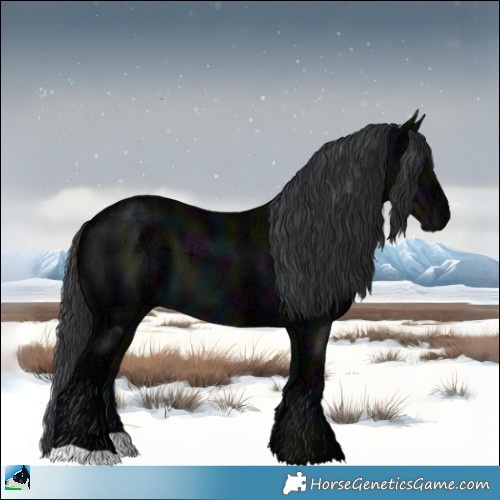Horse Color:Midnight Black Ice