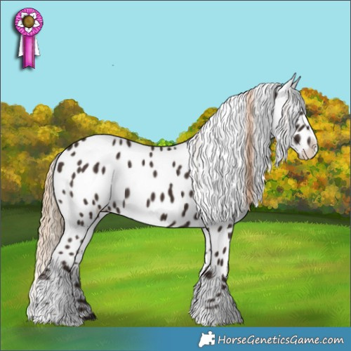 Horse Color:Liver Chestnut Tobiano Appaloosa 