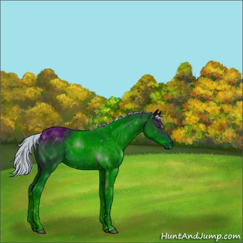 Horse Color:ERROR: UNKNOWN ANOMALY