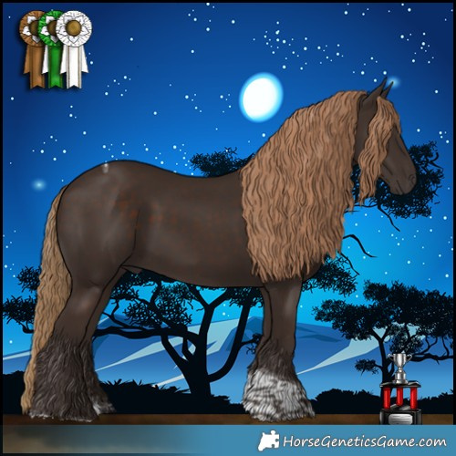 Horse Color:Liver Chestnut Tobiano 