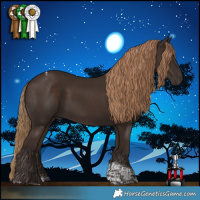 Horse Color:Liver Chestnut Tobiano 