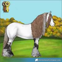 Horse Color:Liver Chestnut Tobiano Appaloosa 