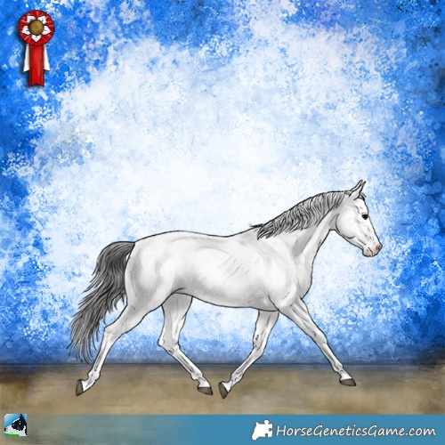 Horse Color:Black Sabino Appaloosa Rabicano 