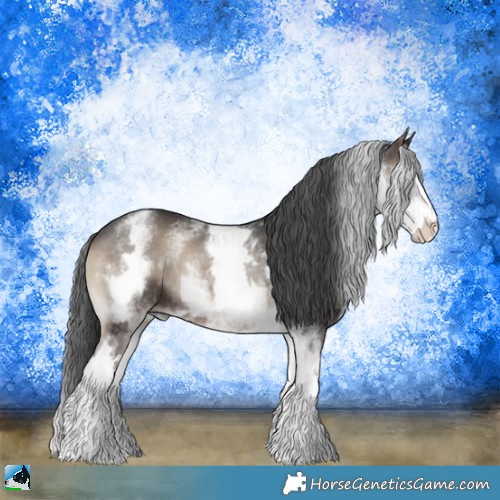 Horse Color:White Spotted Blue Onyx Sabino 