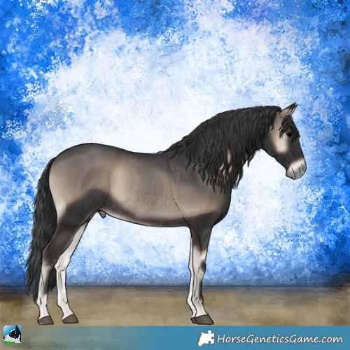 Horse Color:Blue Onyx Rabicano 
