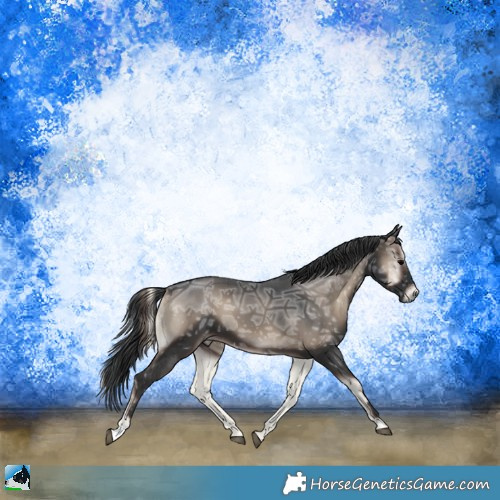 Horse Color:Blue Onyx Ice Sabino 