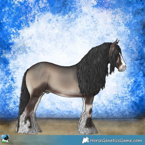 Horse Color:Blue Onyx Sabino Rabicano 