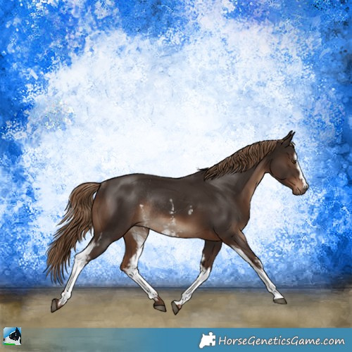 Horse Color:White Spotted Liver Chestnut Rabicano 