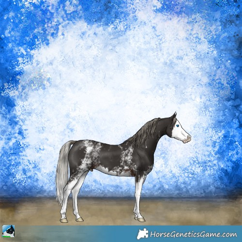 Horse Color:White Spotted Liver Chestnut Mushroom Splash 