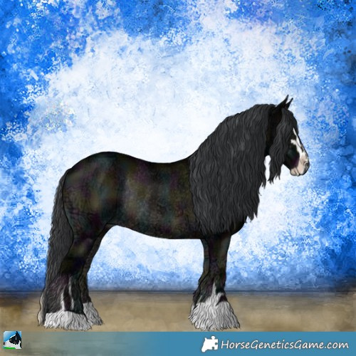 Horse Color:Midnight Blue Onyx Ice Sabino Rabicano 