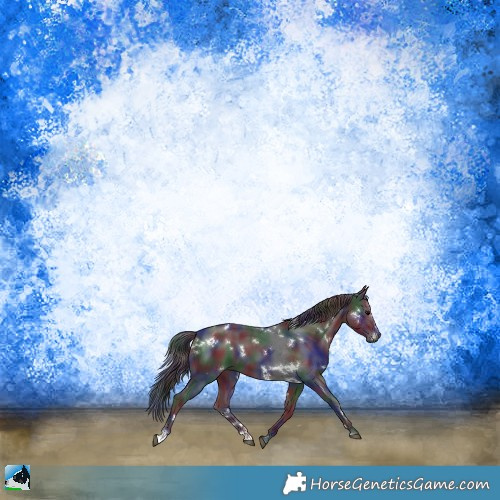 Horse Color:Nacre White Spotted Black Sabino 