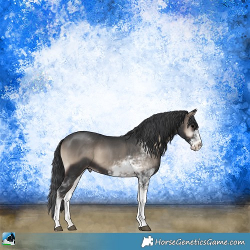 Horse Color:Blue Onyx Sabino 