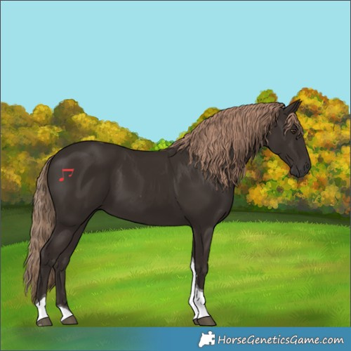 Horse Color:Liver Chestnut Tobiano 