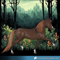 Horse Color:Liver Chestnut 
