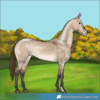 Horse Color:Bay Dun Snowflake Varnish Rabicano 