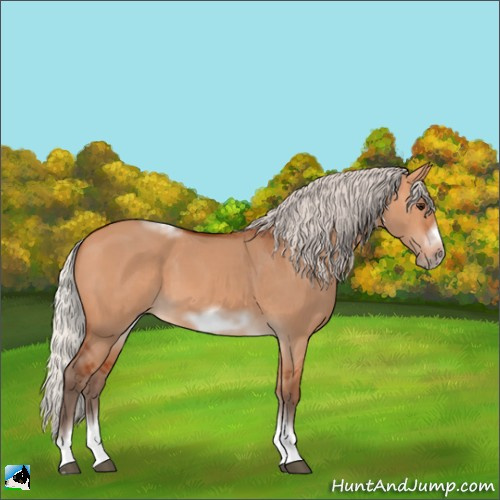 Horse Color:Silver Bay Dun Sabino Tobiano Frame Rabicano