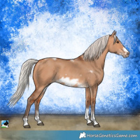 Horse Color:Silver Bay Dun Sabino Tobiano Frame Rabicano 