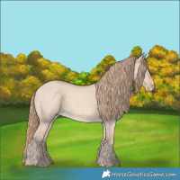 Horse Color:Perlino Dun