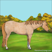 Horse Color:Red Roan Tobiano 