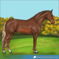 Horse Color:Chestnut 