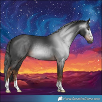 Horse Color:Gray Liver Chestnut 