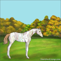 Horse Color:Chestnut Ice Tobiano 